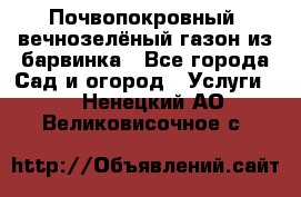 Почвопокровный, вечнозелёный газон из барвинка - Все города Сад и огород » Услуги   . Ненецкий АО,Великовисочное с.